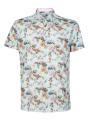 Поло R2 128.POLO.014/073-MULTICOLOUR