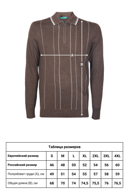 Джемпер-поло CAIOMARIO 256290/040